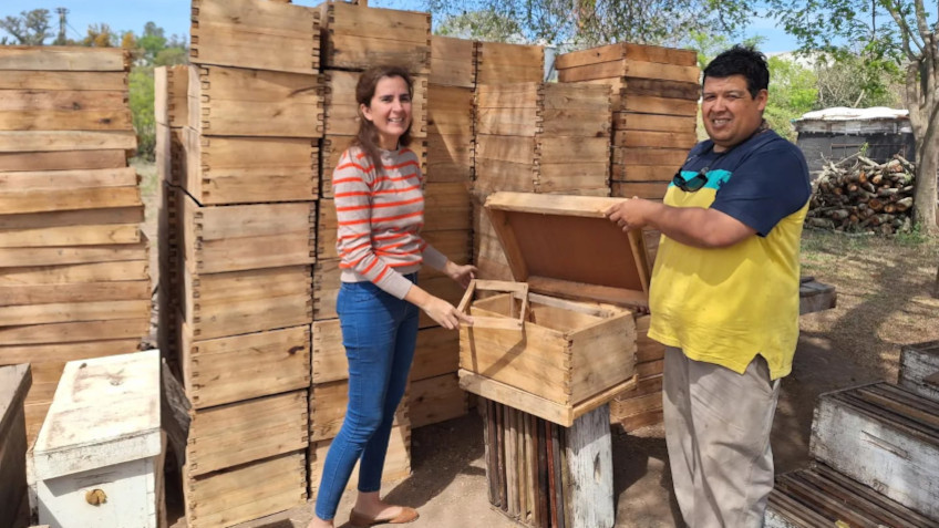 APICULTURA, METAN, CIUDAD DE LA MIELCOOPERATIVA, MEPAO, AMBIENTE PRODUCTIVO