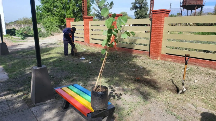 REFORESTACIÓN, PASEO LA ESTACIÓN, GESTIÓN ISSA, MEDIO AMBIENTE