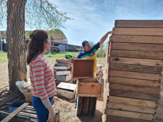 APICULTURA, METAN, CIUDAD DE LA MIELCOOPERATIVA, MEPAO, AMBIENTE PRODUCTIVO