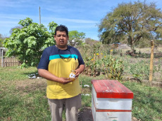 APICULTURA, METAN, CIUDAD DE LA MIELCOOPERATIVA, MEPAO, AMBIENTE PRODUCTIVO